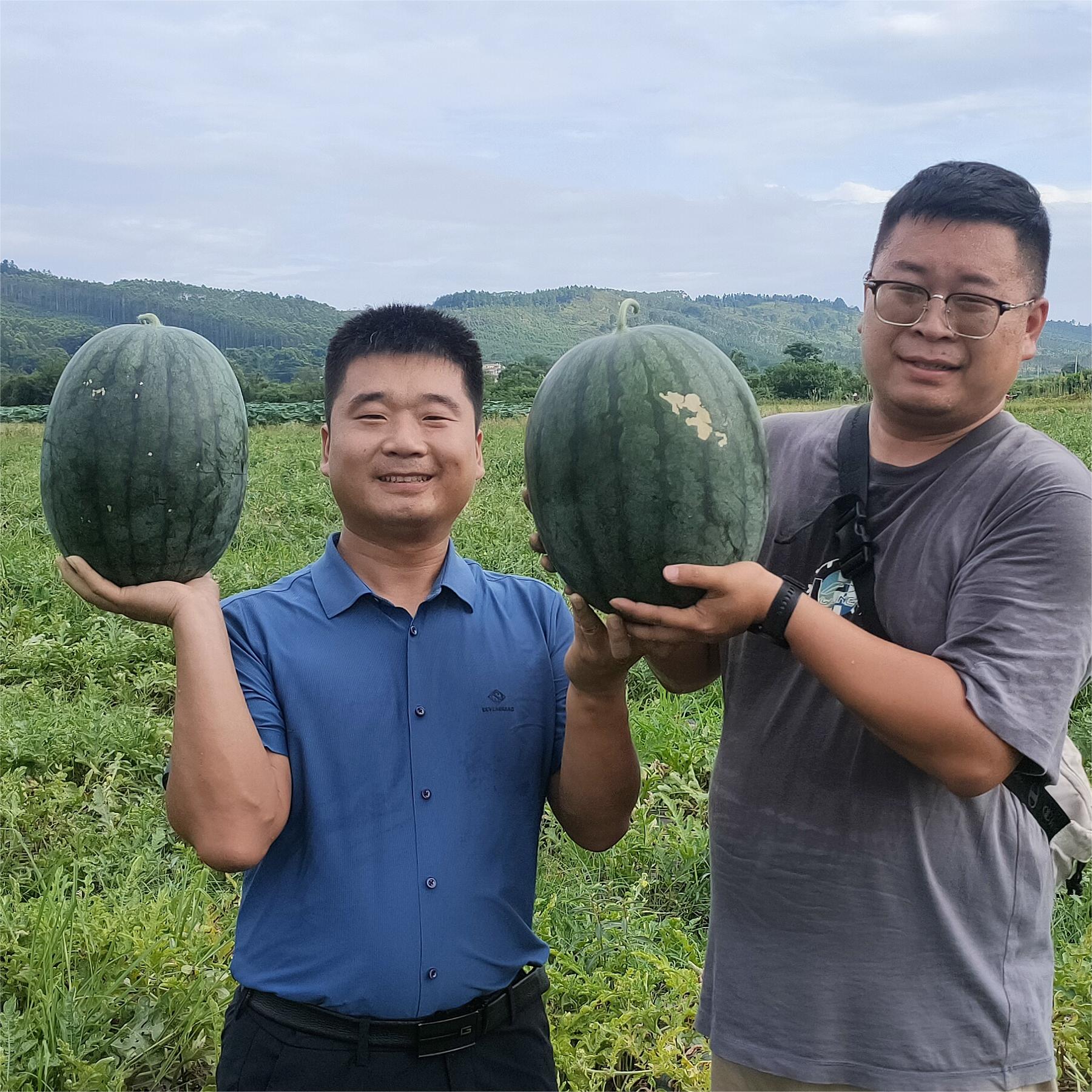 豫藝黑娃二號(hào)