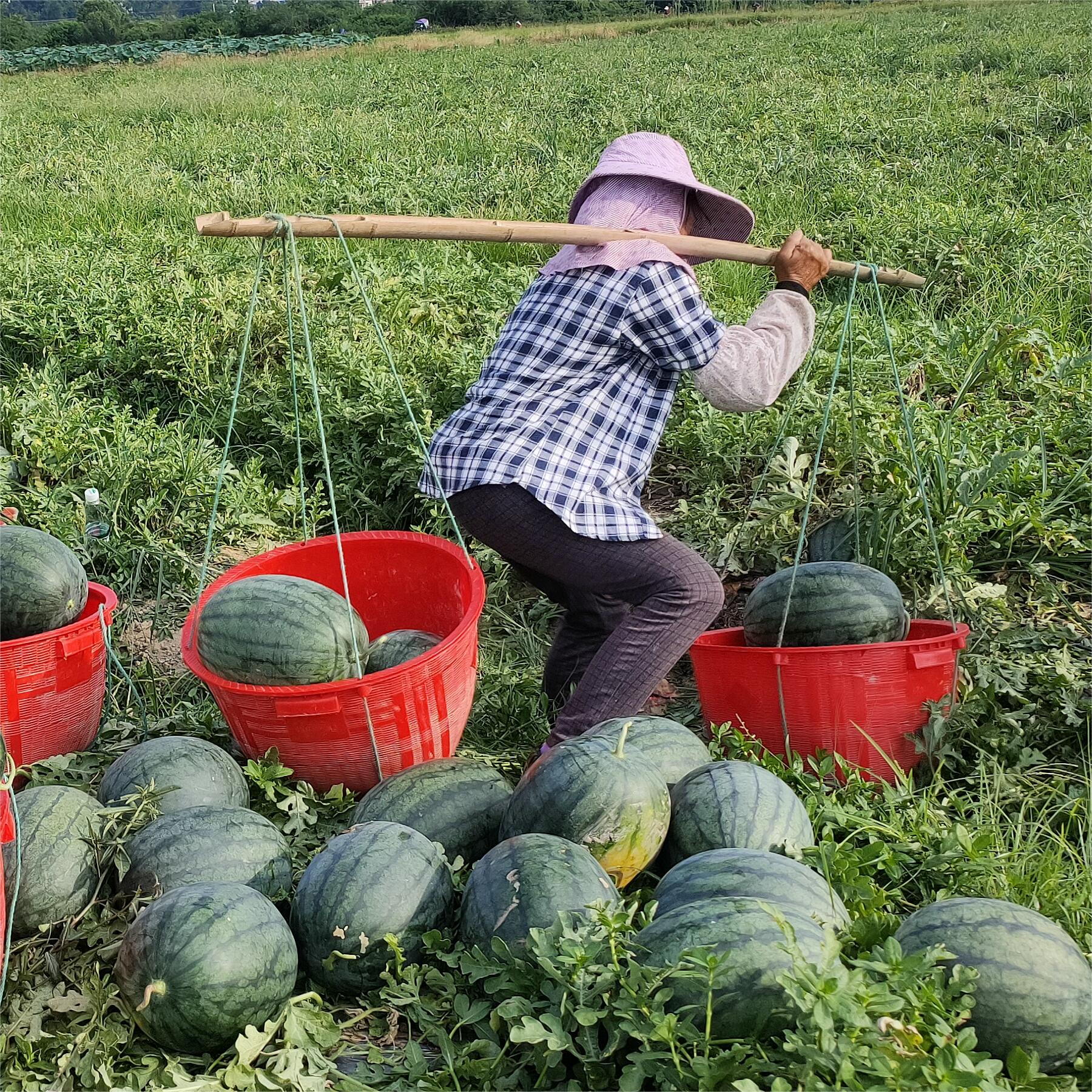 豫藝黑娃二號(hào)